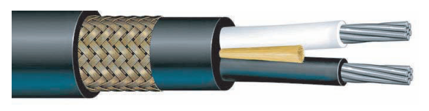 Bostrig™ Type P Power 8 AWG Two Conductor (Armored & Sheathed)