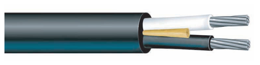 Bostrig™ Type P Power 8 AWG Two Conductor (Unarmored)