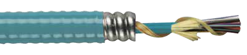 Tight Buffer Distribution Interlock Armored Plenum Cable OFCP CSA FT6