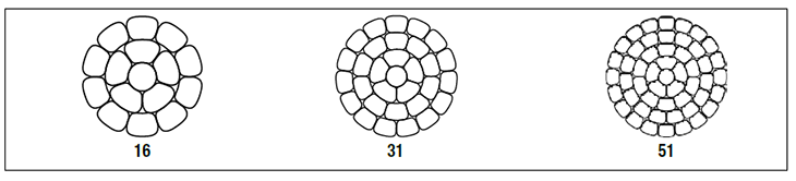 TransPowr® AAC-TW Bare Overhead Conductor (Canada)